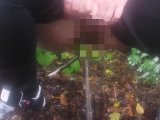 Amateurvideo Outdoor Pee von CaraliaDeluxe